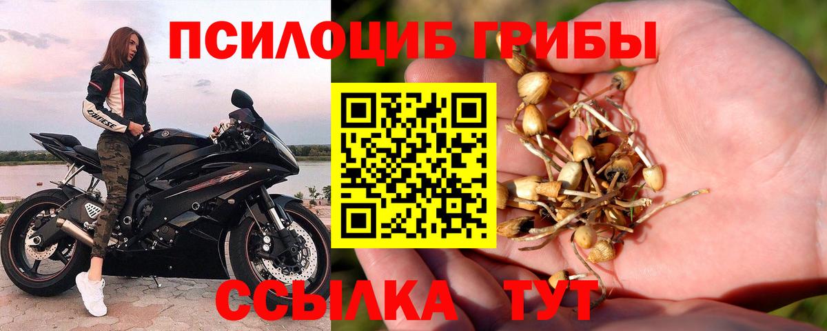 Галлюциногенные грибы ЛСД  купить наркотики цена  Артёмовский  Галлюциногенные грибы MAGIC MUSHROOMS  Вход с VPN 
